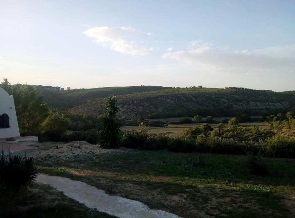 Ksar Ezzit image 5